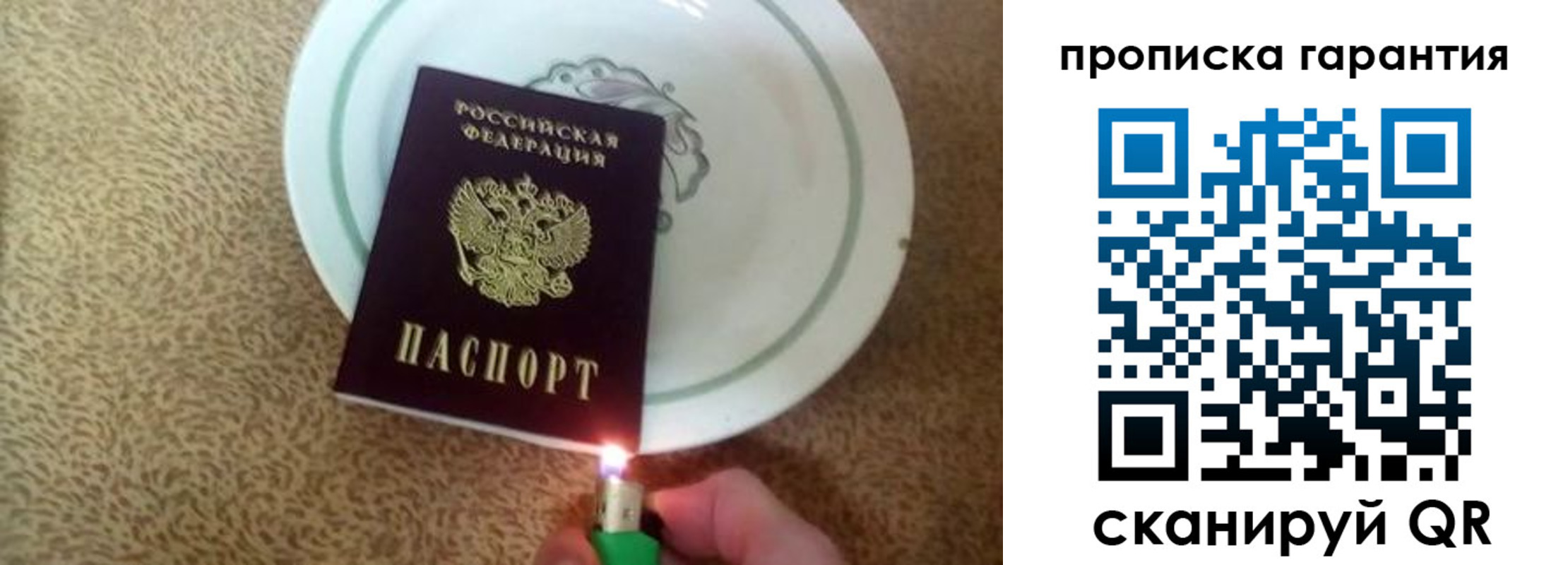 прописка гарантия в ЕАО